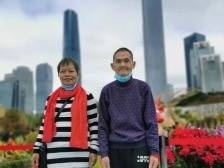 广州园博会开幕！精彩看点戳这里