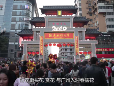 在+也能逛，一眼看尽百年花市繁华