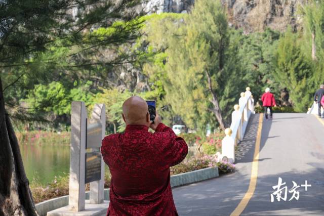 图集 | 大年初一,仙鹤也来肇庆“拜年”啦