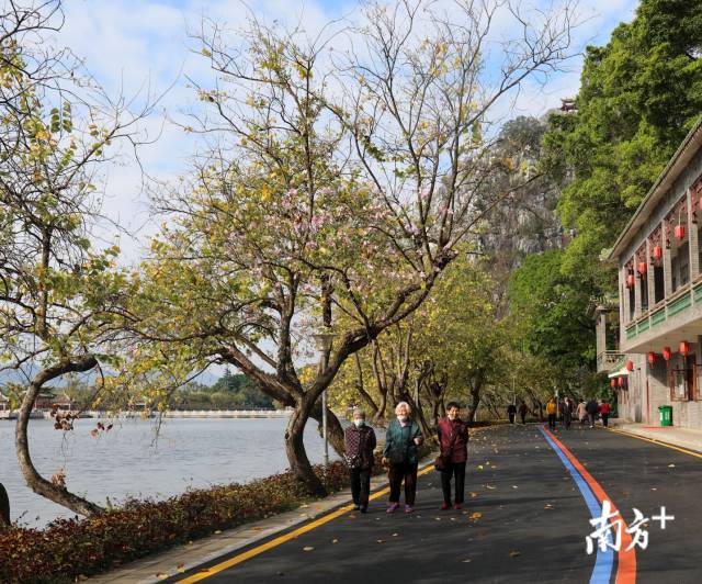 图集 | 大年初一，仙鹤也来肇庆“拜年”啦