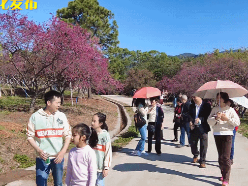 春节到来，广州从化年味浓