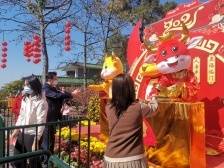 “爬金山”“迎财神”“非遗秀”年俗多，广州春节年味十足