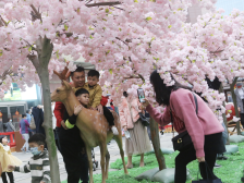 广州年味浓，市民开心过大年