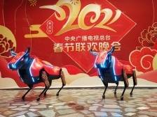 深圳硬科技“加持”，2021春晚上的这头“牛”不简单