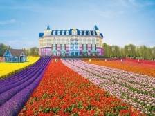 留穗过年更精彩，滑雪赏花不重样，乡村旅游别样红