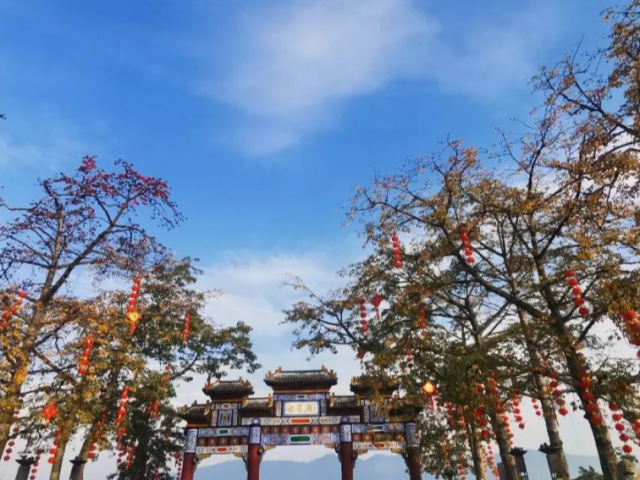 “爸妈，我在肇庆过年挺好的！”