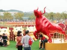 花开富贵春意闹！天气晴好广东各地赏花游受热捧