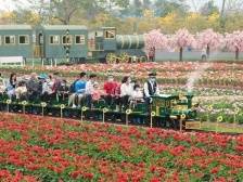 大年初二，广东150家重点景区共接待游客198.4万人次