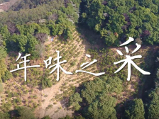 年味系列纪实短片② | 年味之采