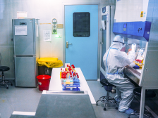 95后“病毒猎手”：春节我在实验室