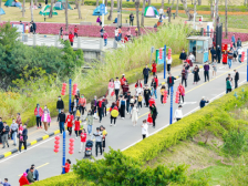 就地过年好去处，横琴芒洲湿地吸引上万名珠澳居民“打卡”