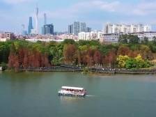 风和日丽过大年！逛海珠湿地公园，赏浓情春 | 云上全家福