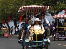 这个春节好去处，南沙海滨公园迎来大批游客