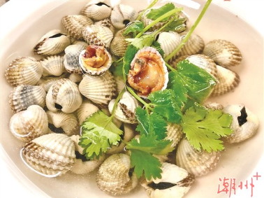 【最春节·潮州菜】白灼珠蚶——口感鲜美 风味独特