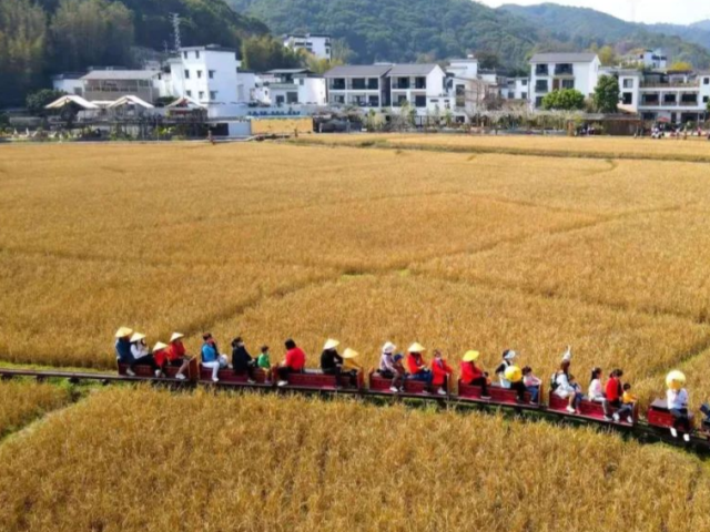 广州从化春节乡村游火爆，民宿一房难求！