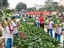 校长的话|东坑镇中心小学校长朱肖兰：家长参与让劳动教育更有深度