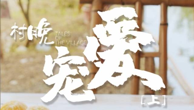 视频 | 《村晚》之大年初四：《宠爱》上