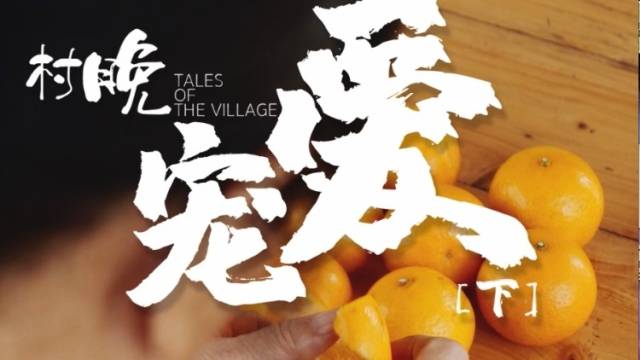 视频 | 《村晚》之大年初四：《宠爱》下