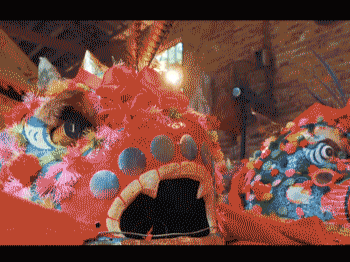 【网络中国节·春节】云赏翁源猫头狮 耍得了威风，卖得起“萌”