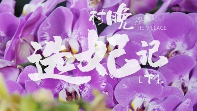 视频 | 《村晚》之大年初五：《选妃》下