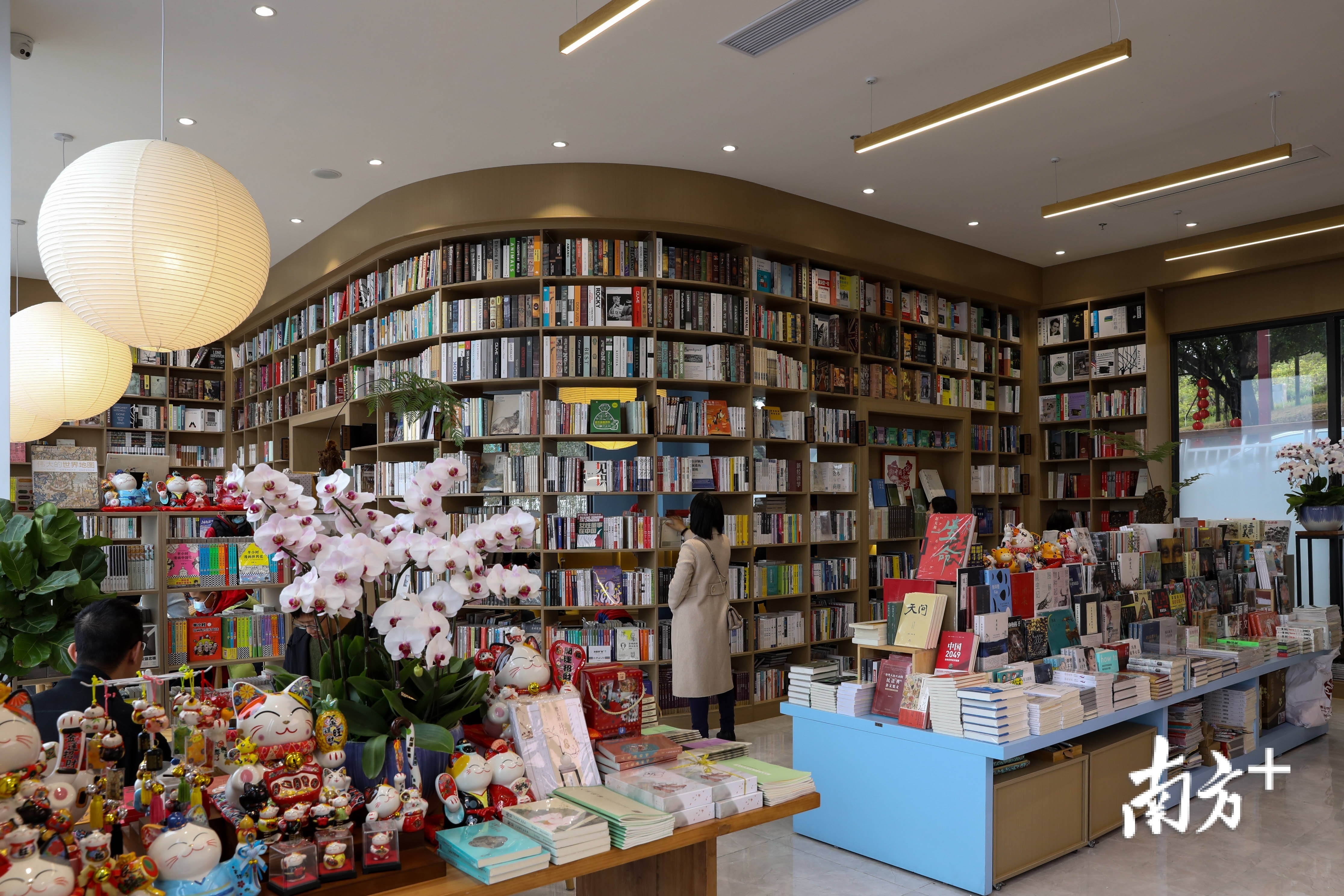 书店内景。杨迪云供图 书店内景。杨迪云供图