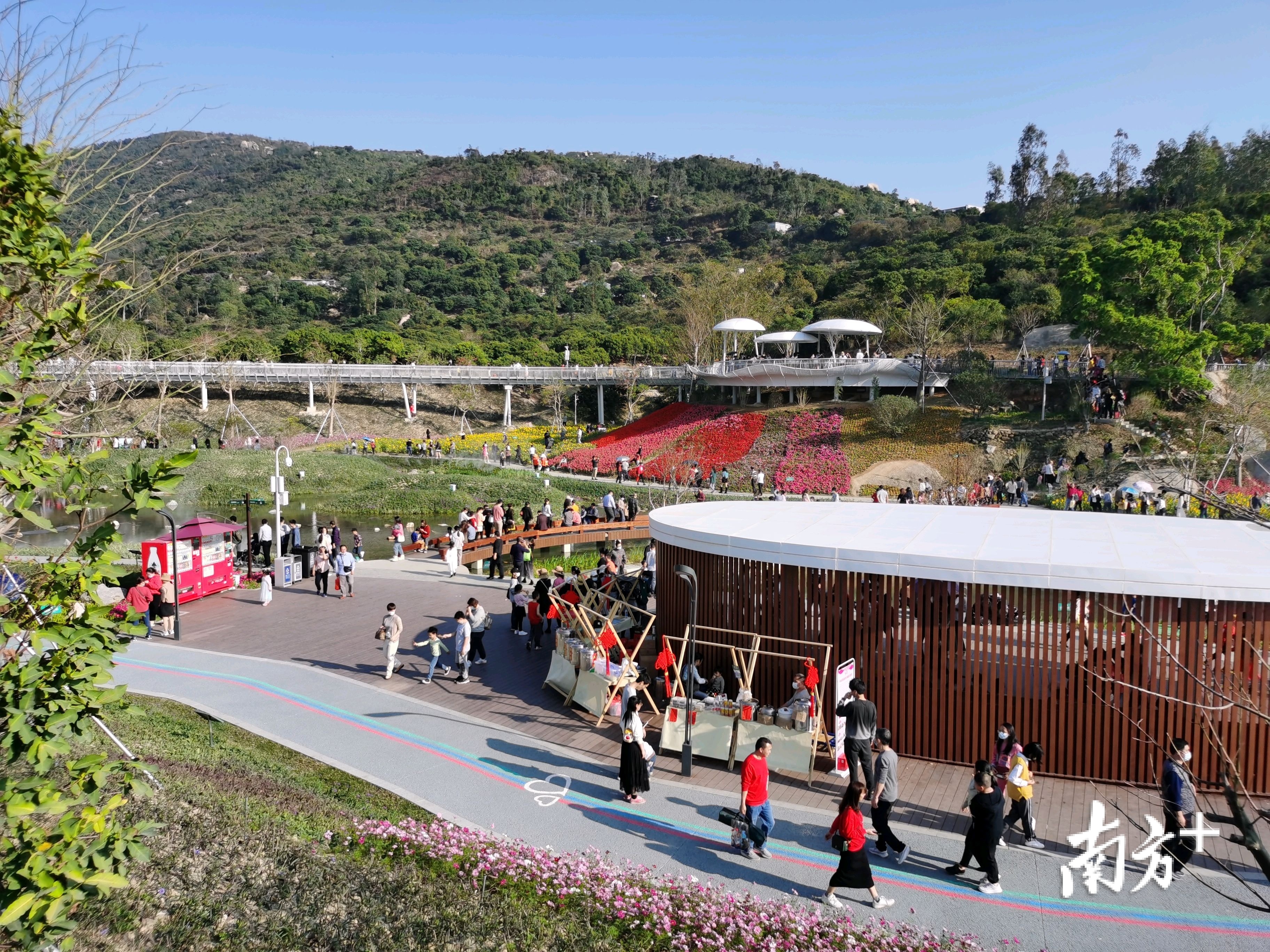 春节期间日均近4万人次来到这里欣赏美景。 春节期间日均近4万人次来到这里欣赏美景。