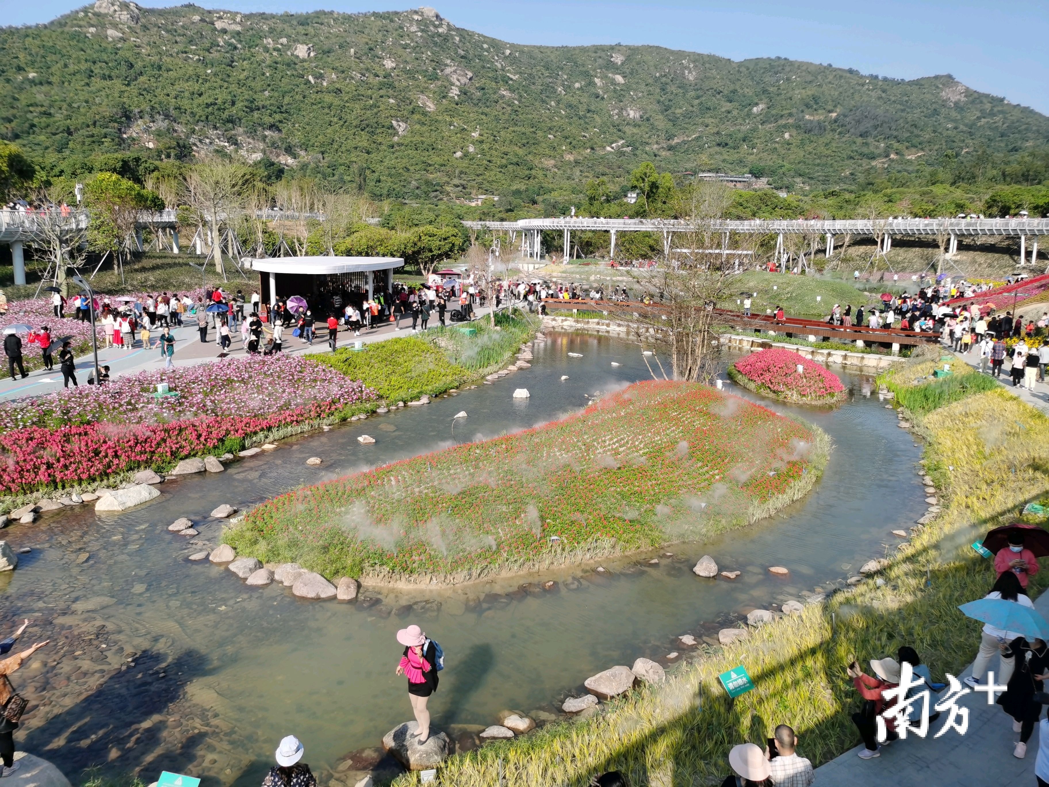 美不胜收的鹤道。 美不胜收的鹤道。