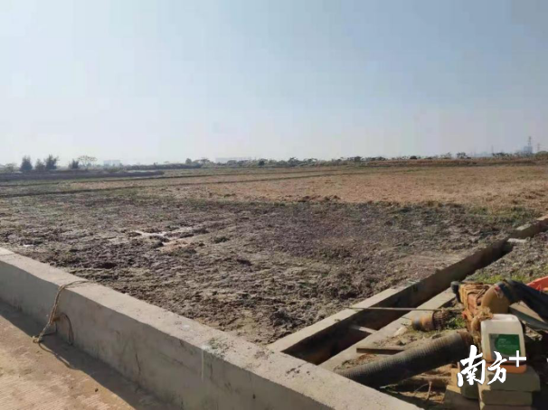 城东镇水墘村垦造后