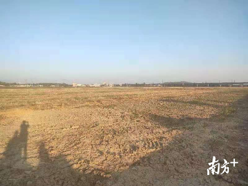 潭西镇长安村垦造后