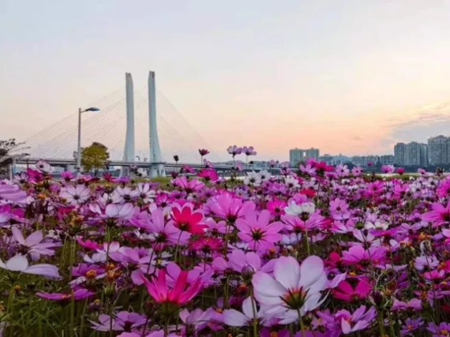 这些惠城“爆红”打卡地，你心动了吗？