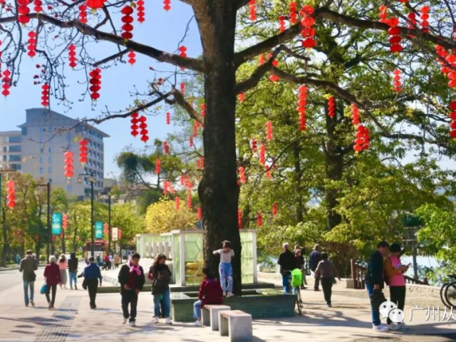 春节期间，广州从化旅游市场“吸金”4.53亿！接待近120万人次