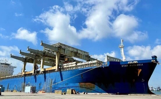 “高栏-北美”散货纸浆航线成功首航。受访单位供图