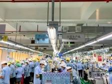 图集 | 初七开工大吉，珠海新年“犇”起来！