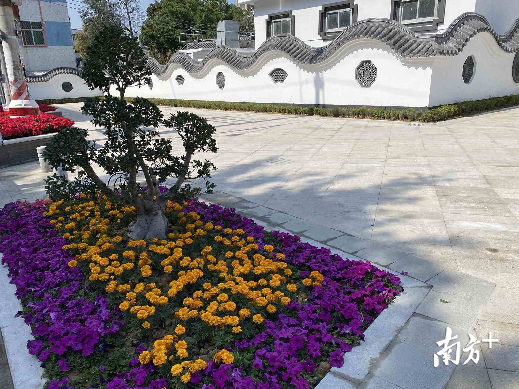 见缝插绿饶平微景观涌现市民享家门口绿色福利