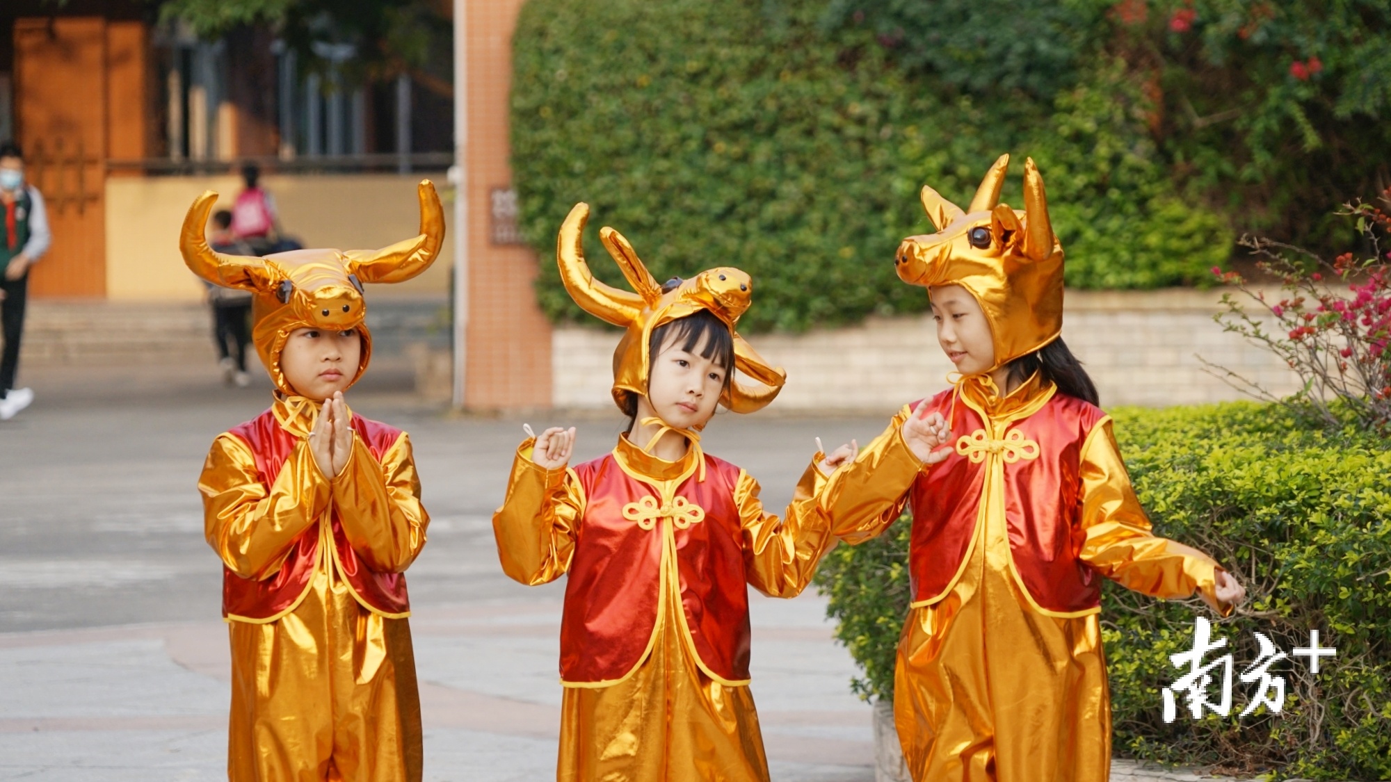 醒狮队、“牛魔王”“小牛”舞动着为开学第一天暖场。