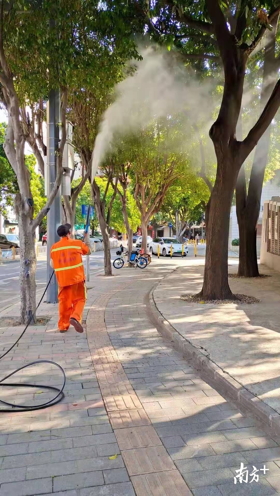 工作人员对绿化芒喷药,为其“节育”。 工作人员对绿化芒喷药,为其“节育”。