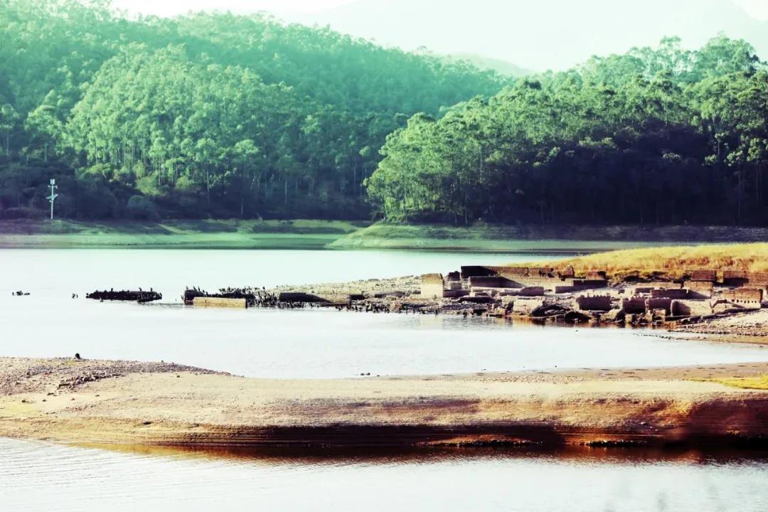 ▲茅輋(shē)村原是清溪最早的村落之一摄影:杨石彪 ▲茅輋(shē)村原是清溪最早的村落之一摄影:杨石彪