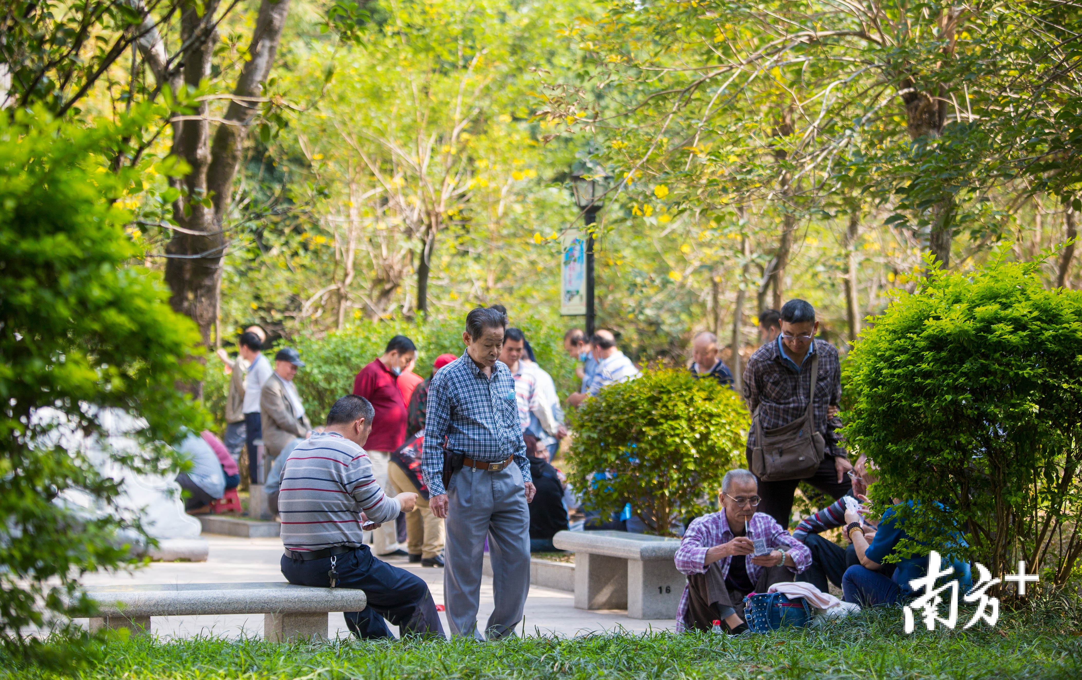 午后不少市民朋友们来到广州黄花岗公园乘凉.南方日报记者 金镝 摄