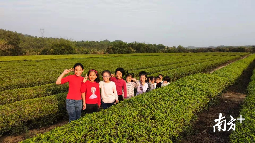 陆丰高美村图片