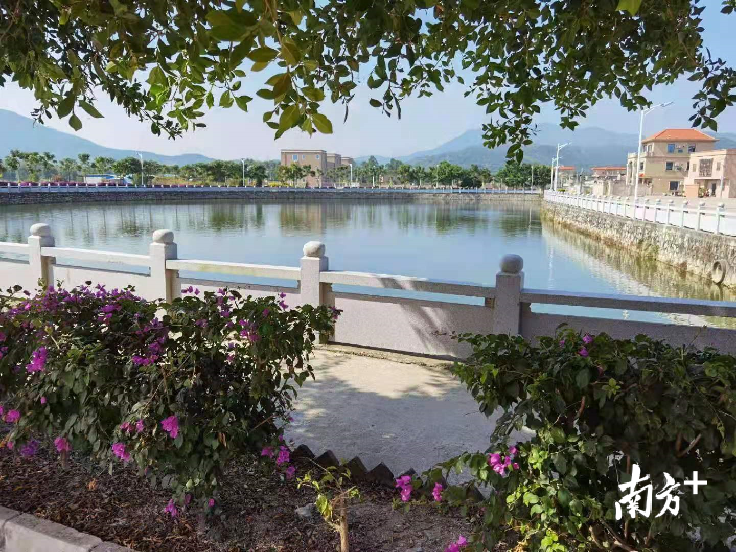 河西镇卧龙村。