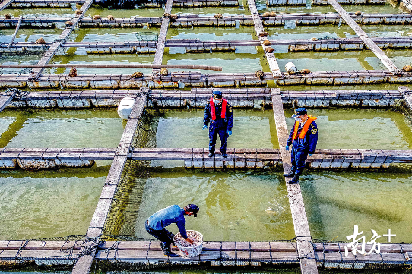 饶平海关关员为即将出口的活鱼进行查验监管。袁国宏 摄