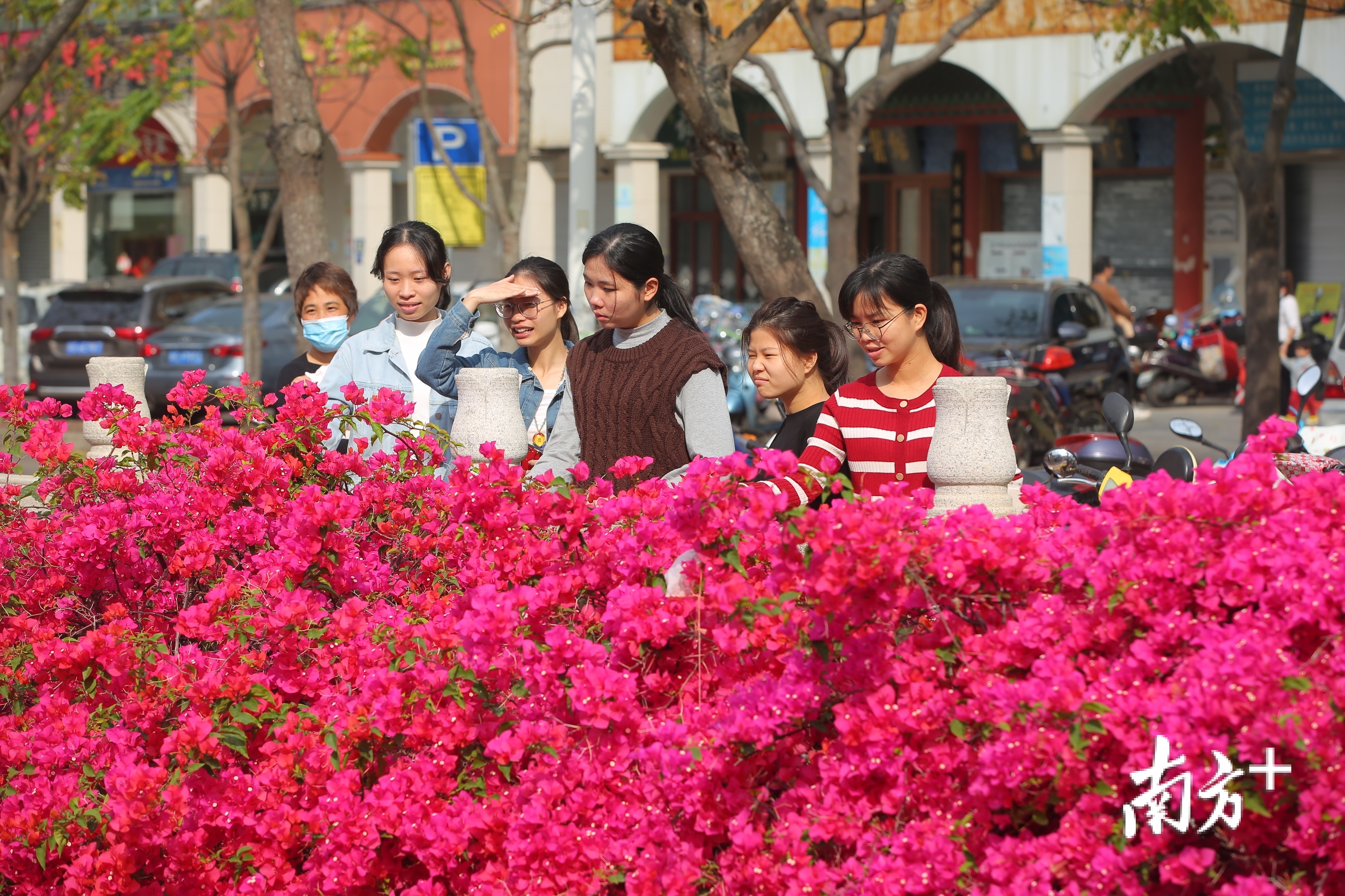 北桥河畔游人如织。