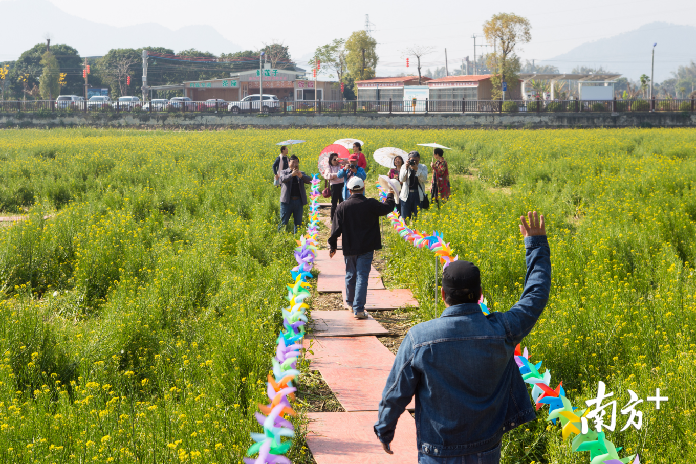 一群游客在潮安区归湖镇狮峰村的百亩油菜花花海里拍照。郑思涵 摄 一群游客在潮安区归湖镇狮峰村的百亩油菜花花海里拍照。郑思涵 摄