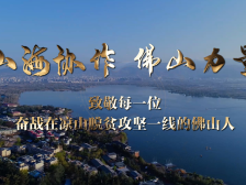 视频｜荣获全国先进，致敬佛山战贫力量！