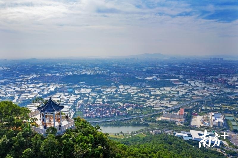 西樵山。通讯员供图