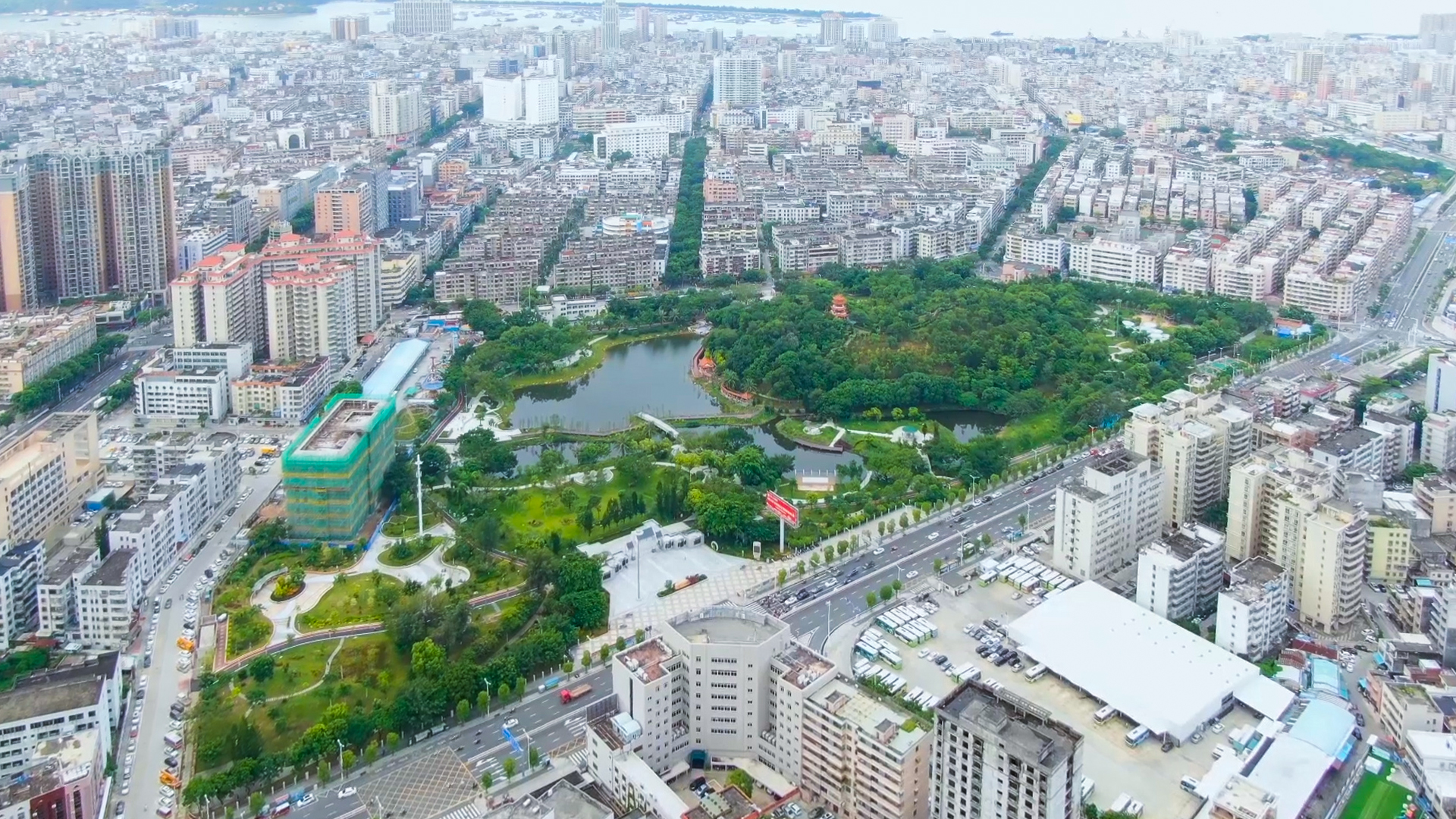 军令状已立汕尾城区官方表态新鲜出炉