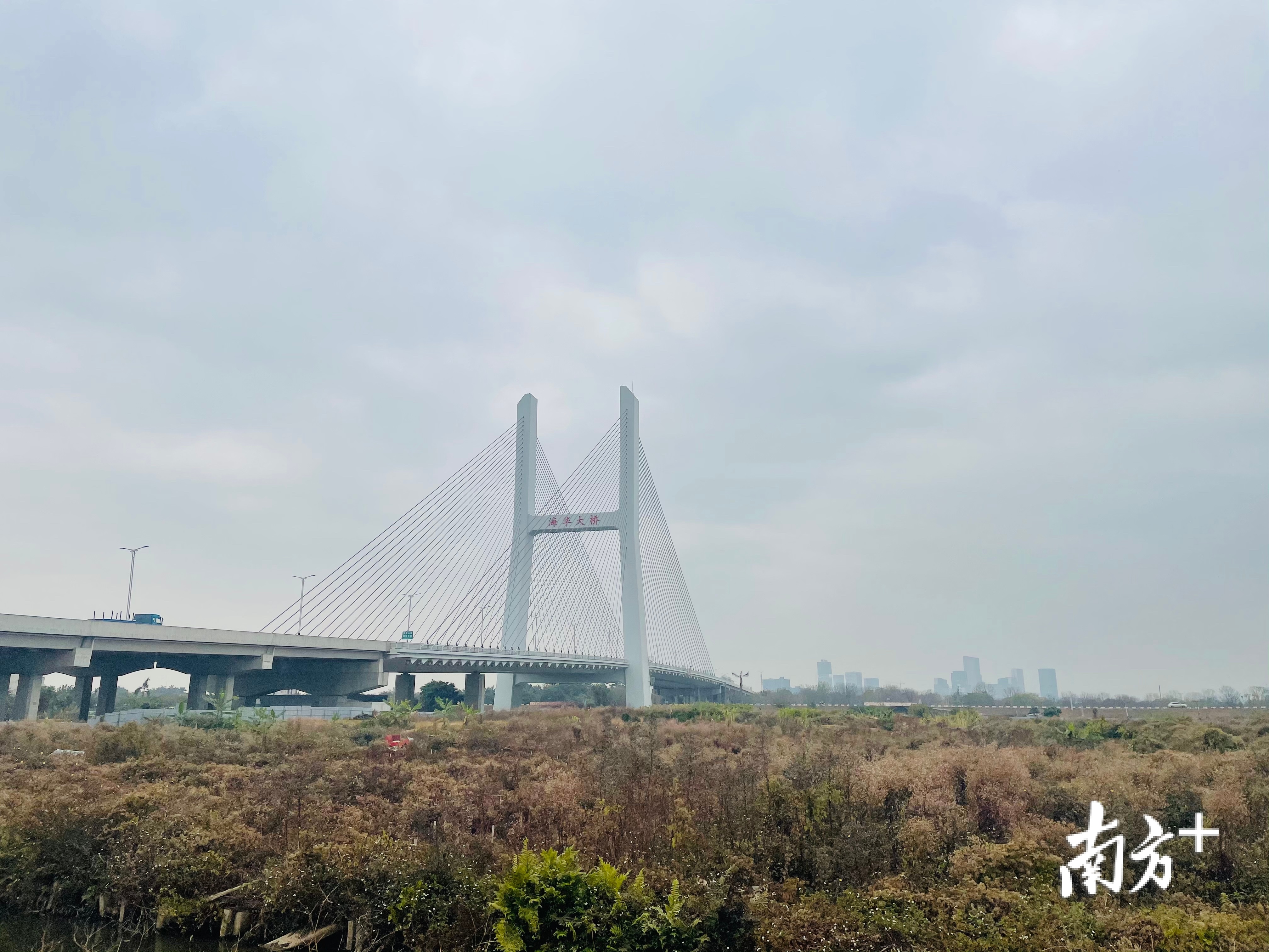 勒竹社区正位于海华大桥下。