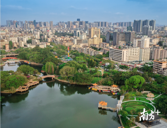茂名南方日报头版报道茂名创建国家森林城市助力绿色生态红利充分释放