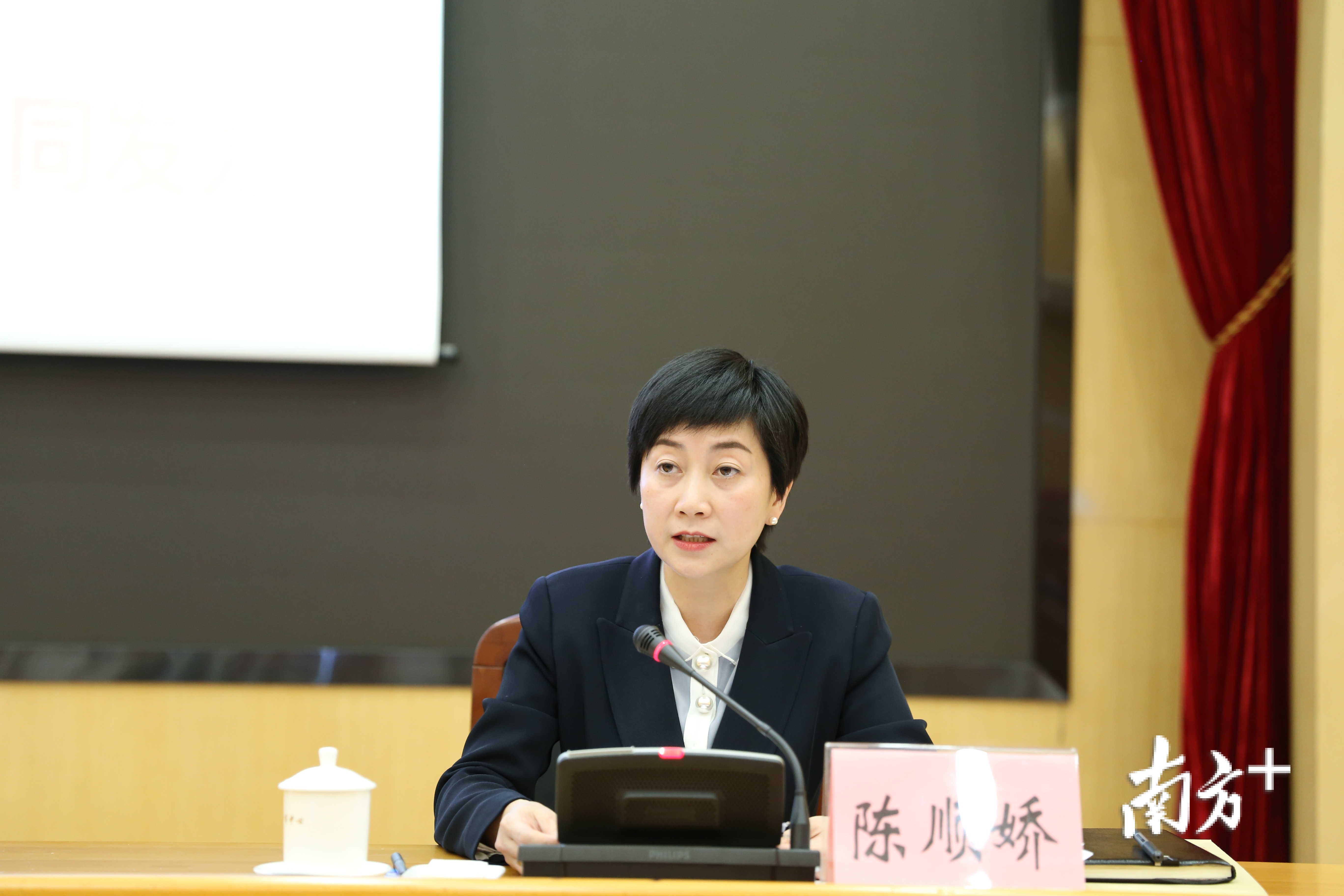 东莞市投资促进局局长陈顺娇