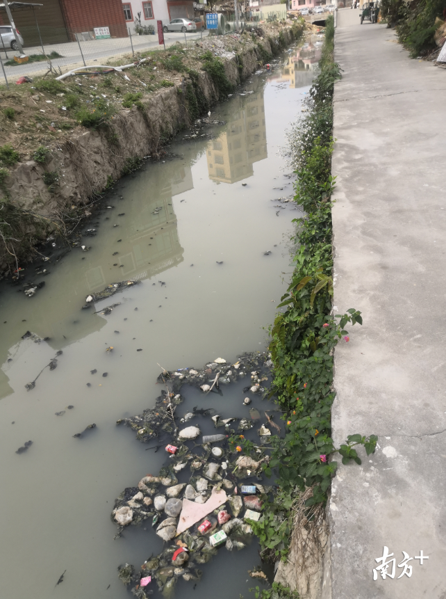 湘桥区卧石村内排水沟可见大量垃圾漂浮，散发刺鼻异味。董志豪 摄